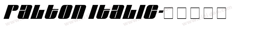Palton ITALIC字体转换